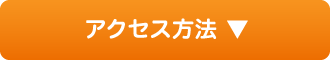 ˡ